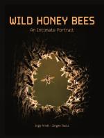 Wild Honey Bees: An Intimate Portrait