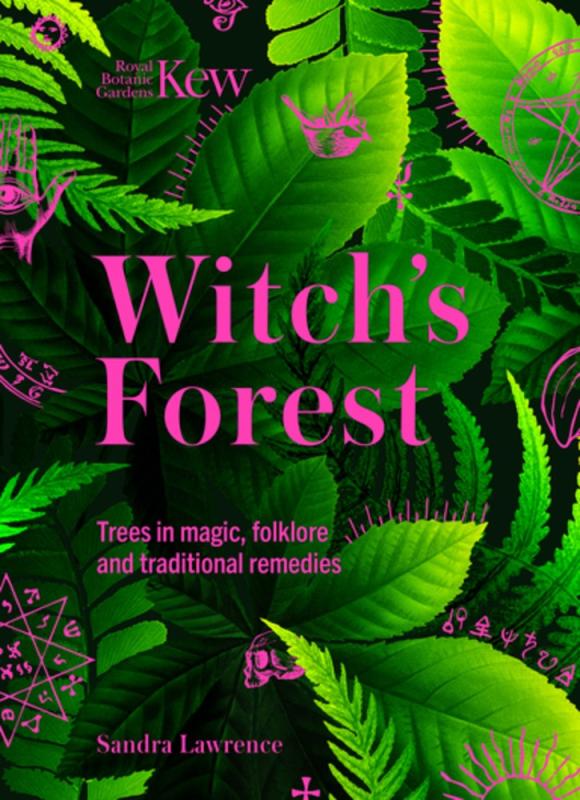 Background of green foliage with witchy symbolic motifs and the title in pink.