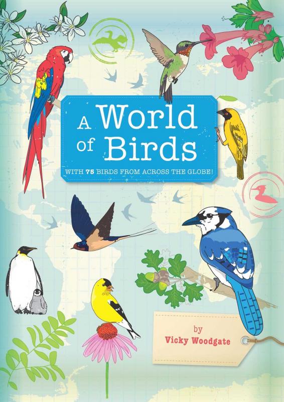 illustrated birds including a blue jay, a penguin, a hummingbird, a parrot, and more