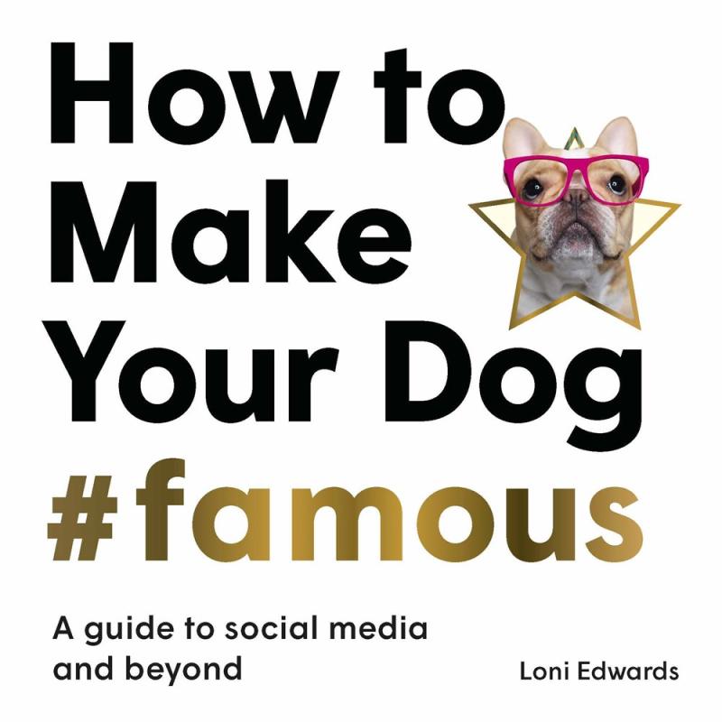 How To Make Your Dog #Famous: A Guide to Social Media and Beyond