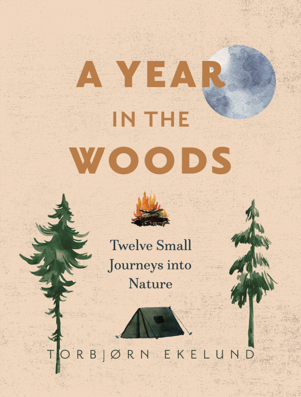 a tent, a campfire, and two pine trees